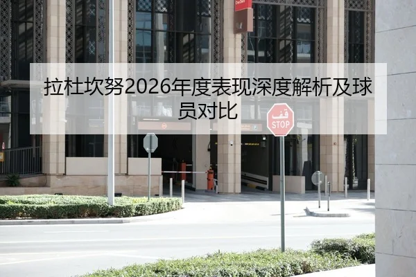 拉杜坎努2026年度表现深度解析及球员对比